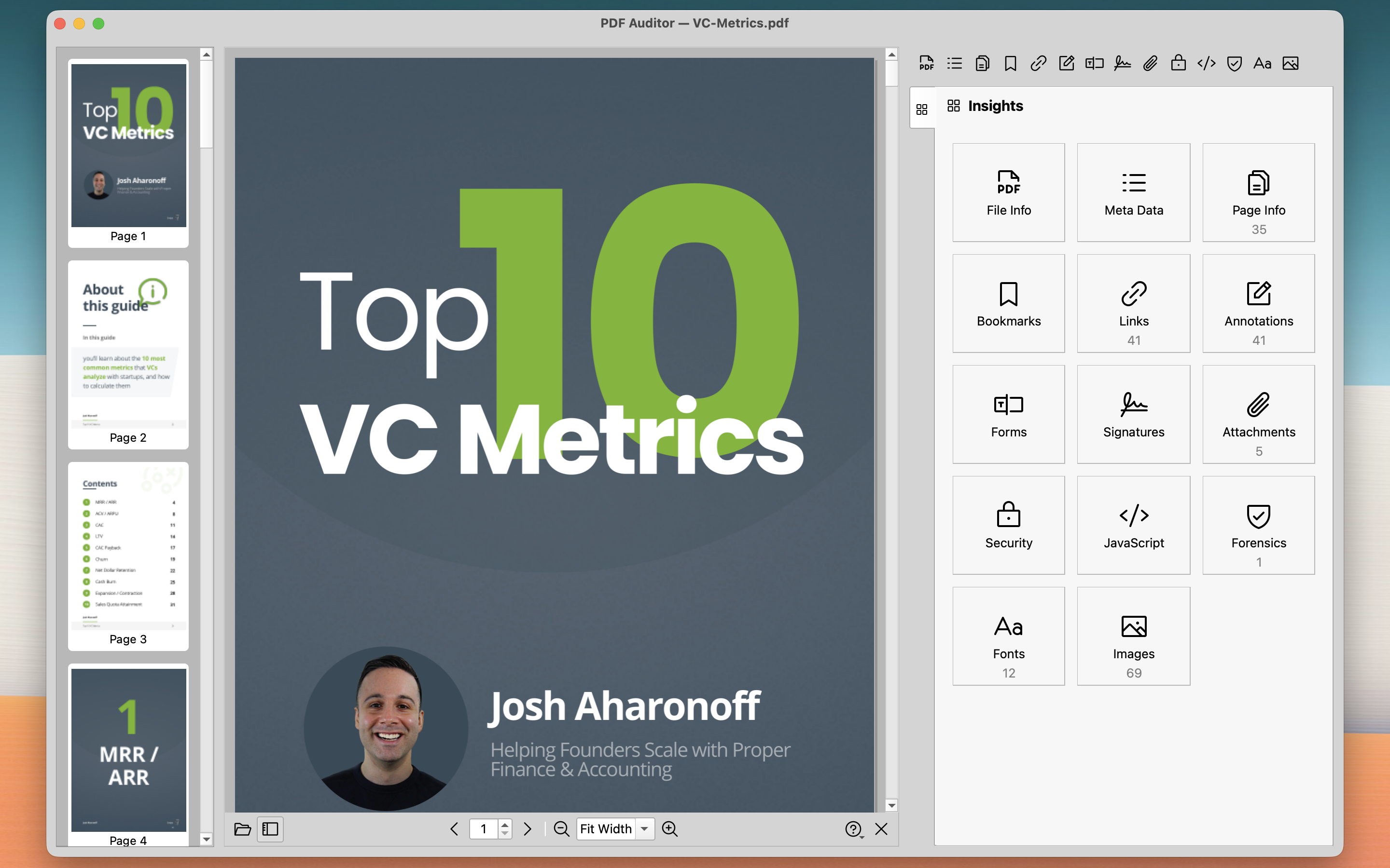 PDF Auditor overview showing document analysis features
